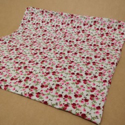 Lange Géant - Roses Roses
