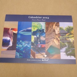 Calendrier Team Etud' 2023