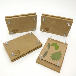 Herbier en bois